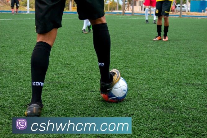 App Interface Preview